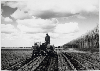 WAT003000429 Aardappelpootmachine