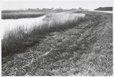 WAT003000980 Mest langs rietkragen