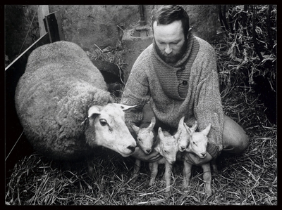 WAT003004589 Schaap en lammeren van de heer K. Fransen.De vader (ram) van de lammeren op de foto is reservekampioen ...