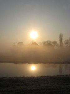 WAT120002779 STICK_ATLAS/coll. Jaap H/12Kopie van VroegVoorjaar08 006