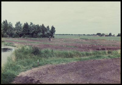 WAT050000050 Aanleg volkstuinen langs de Kloosterdijk en de Provinciale Weg. Perceel B