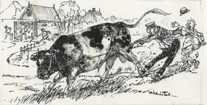 128 De stier