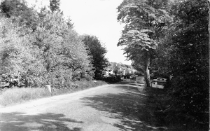 77 Zicht Austerlitzseweg vanaf de doodlopendeweg ( Grensweg ), met aan de rechterkant de bomen die zijn omgezaagd voor ...