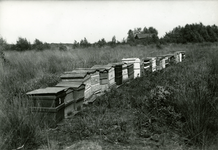 3187 Bijenkasten, 1932-1940
