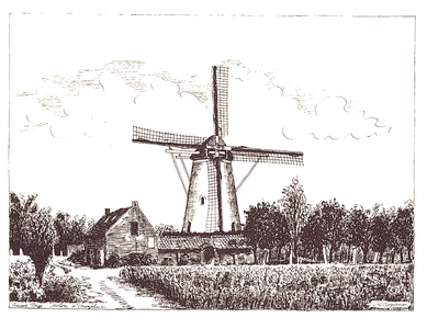 J20-C20 Nieuwe Tonge, molen d'Oranjeboom , ca. 1970