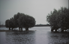 3528 Deventer - SpoorbrugHoog water IJssel voorjaar 1982.