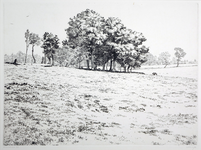 Zoeken in de collectie 8 JMD-E-067 Ets / Prent, Landschap