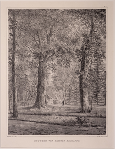JMD-OP-1663 Litho, topografie: BROUWERIJ VAN PRINSES MARIANNE. Litho uit een serie van 12 , gezichten in het park Het Loo.