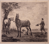 JMD-OP-1742 Ets, Prent, De paarden van de stadhouder.