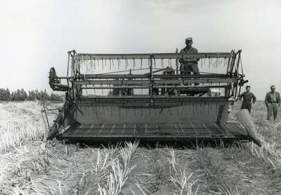 2309 - Massey Harris maaidorsmachine van 4 meter breed. De voortgaande mechanisatie in de landbouw was van grote ...