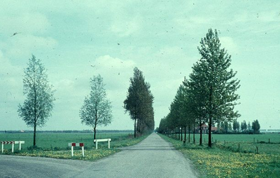 307 - Kleurendia's afdeling Bebossing en Beplanting