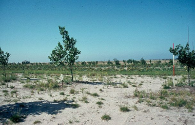1129 - Plantgatverbetering op proefveld kavel B 7