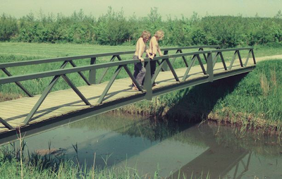 1184 - Voetbrug in het Harderbos