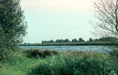 1867 - Recreatievijver op kavel A 44 (Zuigerplas)