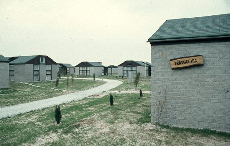 2095 - Vakantiehuisjes van de Kampeervereniging Muiderberg in het Larserbos