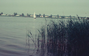 2226 - Watersport in de randmeren