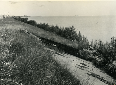 439 - Knardijk; voorgrond rechts gebitumineerd zand, daarachter proefvak van klei met grasbegroeiing op gebitumineerd zand