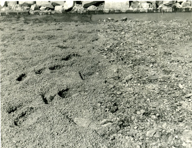 452 - Proefvak mijnsteen; links onderlaag 8-80 mm., bovenlaag 0-8 mm.; rechts één laag 8-80 mm