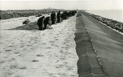 595 - Stormschade 1 februari 1953 meerdijk perceel R'. Waar de bekleding tot in de 'woelbak' gereed was, trad geen ...