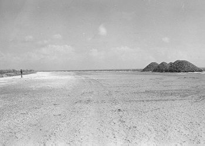 20 - Duinen en grindopslag