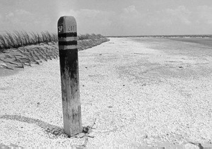 22 - Een schelplaag, welke ontstaat na het stuiven