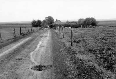 203 - Boerderij 'de Hildernisse' langs de oostrand