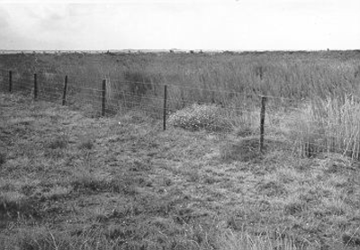 210 - Afrastering van het schorrengebied ter voorkoming van betreding door schapen. Voor de afrastering is de invloed ...