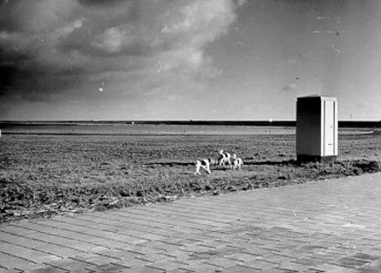 330 - Chemisch toilet merk 'Potabloo' bij de zwemplaats op het strand van de Grevelingendam