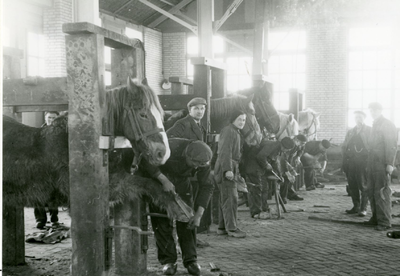 1315 - Hoefstallen in de centrale werkplaats in Emmeloord