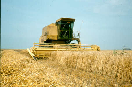 14 - Werkzaamheden van de RIJP in Zuidelijk Flevoland. Na het koolzaad wordt het graan geoogst door een NH 8080 ...