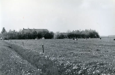 102 - Weiland met bloemetjes en koeien met een boerderij op achtergrond