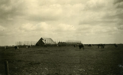 126 - Weiland met paarden en een boerderij op de achtergrond