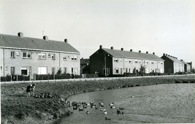 199 - Rijtje moderne huizen aan de Burgemeester van Suchtelenlaan, twee kinderen voeren de eendjes