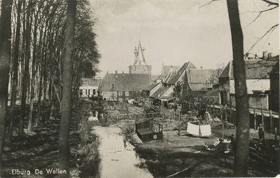 Nr.: 704 - Elburg, de Wallen Touwbaan met op de achtergrond de Vischpoort