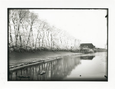 1526 - Stadsgracht met berijpte bomen.