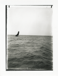 1544 - Pluut op de Zuiderzee (Van Triest?)