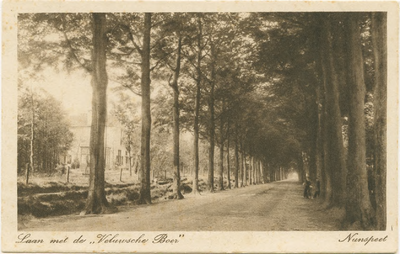 4845NUN001004845 Laan met de Veluwshe Boer , Nunspeet