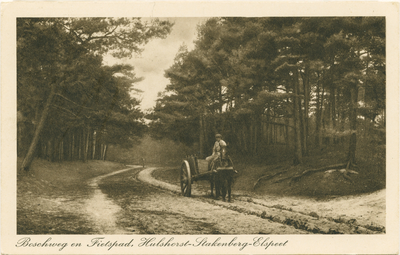 5091NUN001005091 Boschweg en Fietspad, Hulshorst-Stakenberg-Elspeet