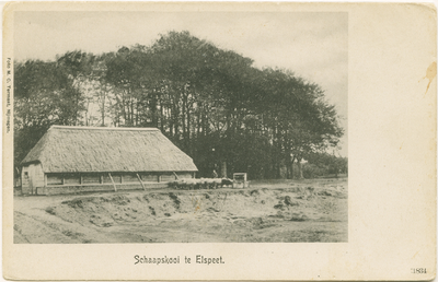 5228NUN001005228 Schaapskooi te Elspeet