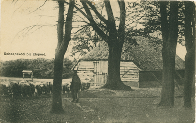 5231NUN001005231 Schaapskooi bij Elspeet