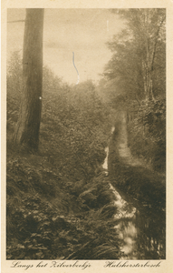 5271NUN001005271 Langs het Zilverbeekje Hulshorsterbosch