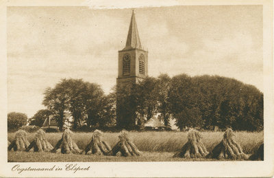 5481NUN001005481 Oogstmaand in Elspeet