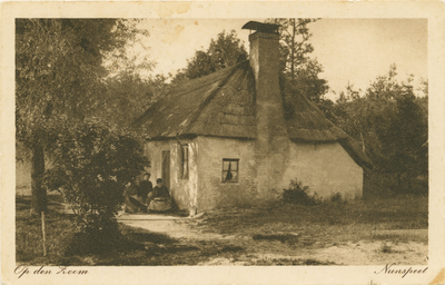 5636NUN001005636 Op den Zoom Nunspeet