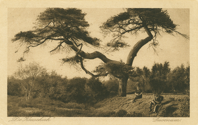 6572NUN001006572 'De Kousekiek' Leuvenum