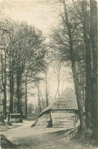 7072NUN001007072 00-00-0000