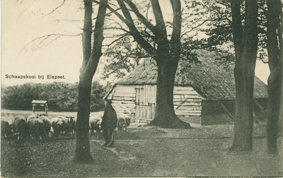 9905NUN001009905 Schaapskooi bij Elspeet