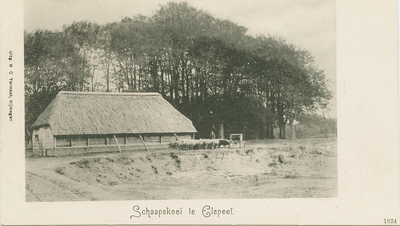 9906NUN001009906 Schaapskooi te Elspeet