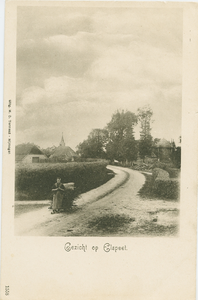 9919NUN001009919 Gezicht op Elspeet