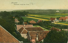 Nr.: 11907 - Nunspeet Panorama vanaf den Toren ingekleurde ansichtkaart met daken van panden, groene en gele velden en ...