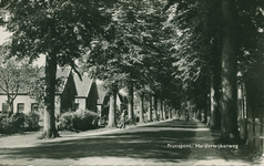 Nr.: 11917 - Nunspeet, Harderwijkerweg straat met links en rechts bomen, daarachter panden; weg gezien vanuit dorp Nunspeet